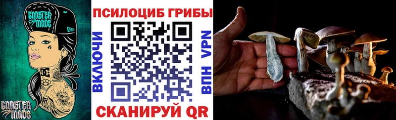 Купить где  Петровск-Забайкальский  Галлюциногенные грибы мицелий 